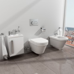 WC klavišas Ravak, Chrome satino spalvos